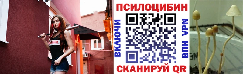 Галлюциногенные грибы Psilocybe  нарко площадка состав  Окуловка 